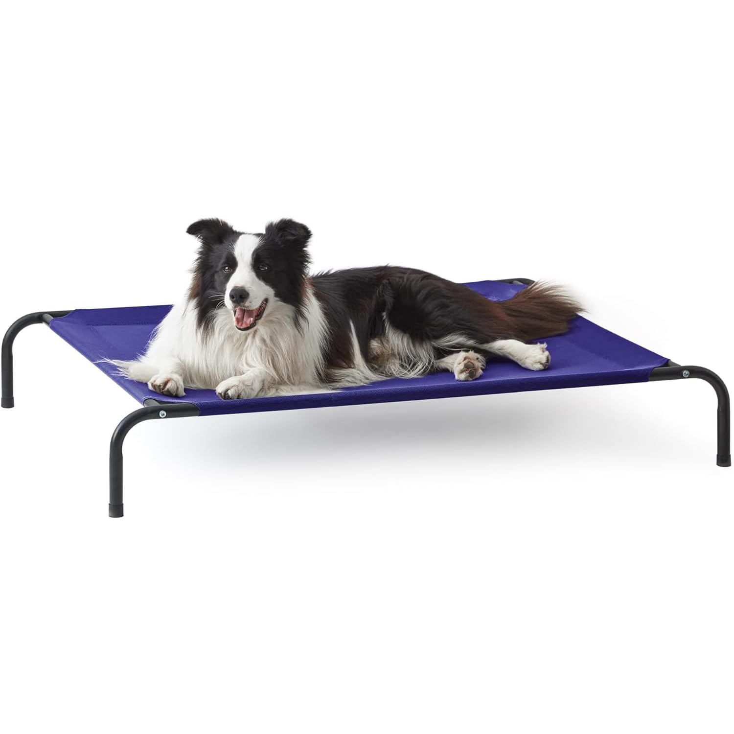 JAINSONS PET PRODUCTS Outdoor Elevated Heavy Duty Dog Beds Portable Dog Cot for Camping Or Beach, Waterproof, Breathable Mesh Pets Bed (Large: 39 x 30 x 9.3 Inch, Blue) (B0D8PYZD6T) Amazon Price History, Amazon Price Tracker