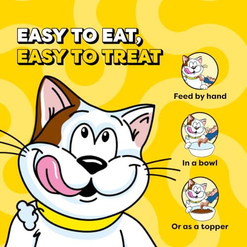 Temptations Creamy Puree Lickable Cat Treats, Salmon, 16 Count - image 6