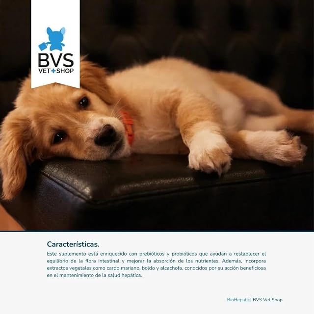 Foto 4 de 8 de BVS Vet Shop