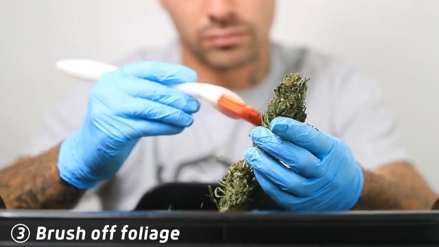 【特価セール】Cannabrush トリミングハンドツール Amazon.com: Cannabrush Trimming Hand Tool : Beauty & Personal Care
