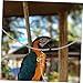VERDANVERSE 1set Parrot Neck Collar with Chain Bird Training Tool for Outdoor Adventures and Comfortable Bird Leash for Parrots and Parakeets