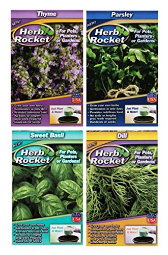 byakj 4pk Organic Herb Starting Kits incl Sweet Basil - Thyme - Parsley - Dill Grow Your Own Spices Herbs in Pots Planters Gardens DIY Homegrown No Tools or prep Work