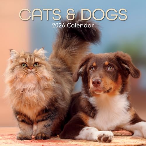 TGSC | Cats & Dogs 2026 Calendar 16 Month (Sept 2025-Dec 2026) Family Square Wall Calendar 2026 UK | Planner with Large Grid for Home or Office Organisation - Animals 2026/2025 Calendar UK