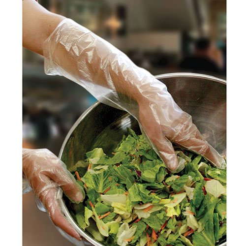 image for Royal Elbow Disposable Poly Gloves, 21.5 Inch, Box of 100, Clear, 100 