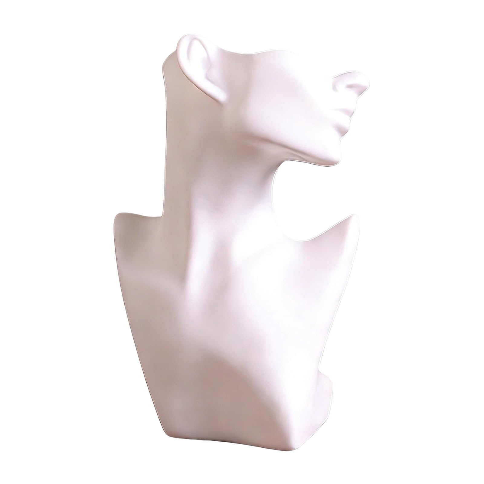 CAZSTYK Practical Jewelry Display Mannequin for Necklaces Earrings and Rings with Lightweight PVC Materials Storage Organizers Fashion Holder