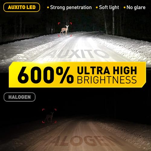 Image of AUXITO 9005 H11 Fog Light Bulbs 50000ML Per Set 6500K Cool White without Cooling Fan, Plug-N-Play 120W, Pack of 4