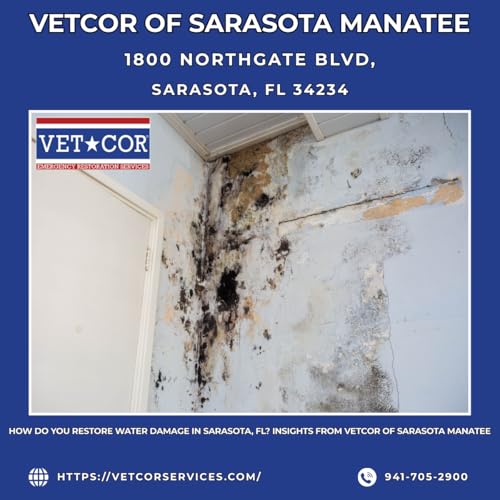 『How Do You Restore Water Damage in Sarasota, FL? Insights from VetCor of Sarasota Manatee』のカバーアート