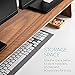 Navaris Dual Monitor Stand Riser - Real Wood Double Width Desk Shelf for Holding 2 Computer Screens - 42.9