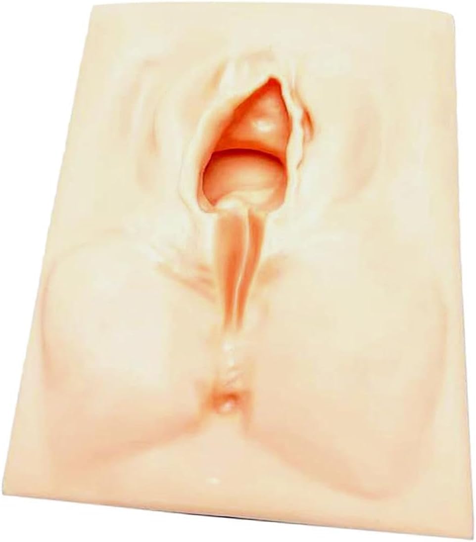 Vulvar Suture Practice Model, Perineal Suture Practice, Episiotomy Simulator Suturing Simulator, Soft Tear-Resistant High Insulation Reusable Suture Practice Kit, for Nurse, Medical Students Use
