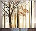 Ambesonne Autumn Curtains, Bare Tree Branches with Tangerine Tones Fall Leaves, Living Room Bedroom Window Drapes 2 Panel Set, 108