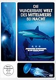  Die Wunderbare Welt des Mittelmeers Bei Nacht