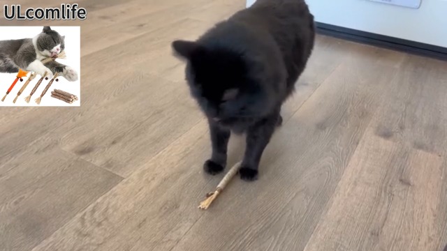 Amazon | 【またたび豪華ギフトセット】ULcomlife 天然マタタビ 猫用