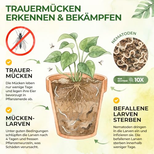 GREEN GUARDIA SF-Nematoden gegen Trauermücken – 6 Mio. (60 Pflanzen/12m²) – Ansicht 2