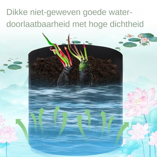 Cesta de plantas de estanque idónea para decorar terrazas con estanques y acuarios modernos 6
