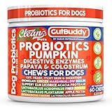 Gut Health Probiotics for Dogs + Pumpkin Colostrum Digestive Enzymes Ginger Slippery Elm Licorice Inulin Fiber Soft Chews Dog Probiotic Beef Flavor Digestion Supplement Treat Bites Large & Small Pets