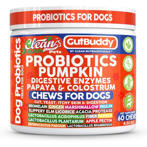 Gut Health Probiotics for Dogs + Pumpkin Colostrum Digestive Enzymes Ginger Slippery Elm Licorice Inulin Fiber Soft Chews Dog Probiotic Beef Flavor Digestion Supplement Treat Bites Large & Small Pets