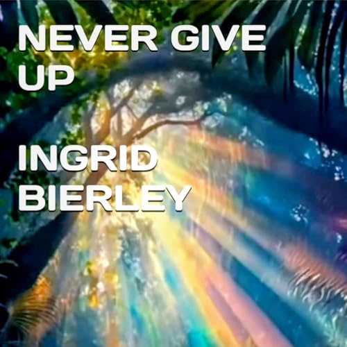 Never Give Up cover art