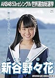 【新谷野々花】 公式生写真 AKB48 Teacher Teacher 劇場盤特典