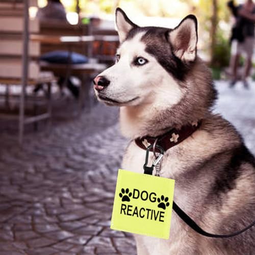 Patch chien réactif-D à suspendre pour l'alerte réactive - 7
