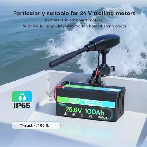Image of Dyness 24V 100Ah LiFePO4 Lithium Battery with Bluetooth, Deep Cycle Rechargeable Battery with Low-Temp Protection, 2560W Max for Off-Grid Solar, RV, Camper, Trolling Motor, Home Use