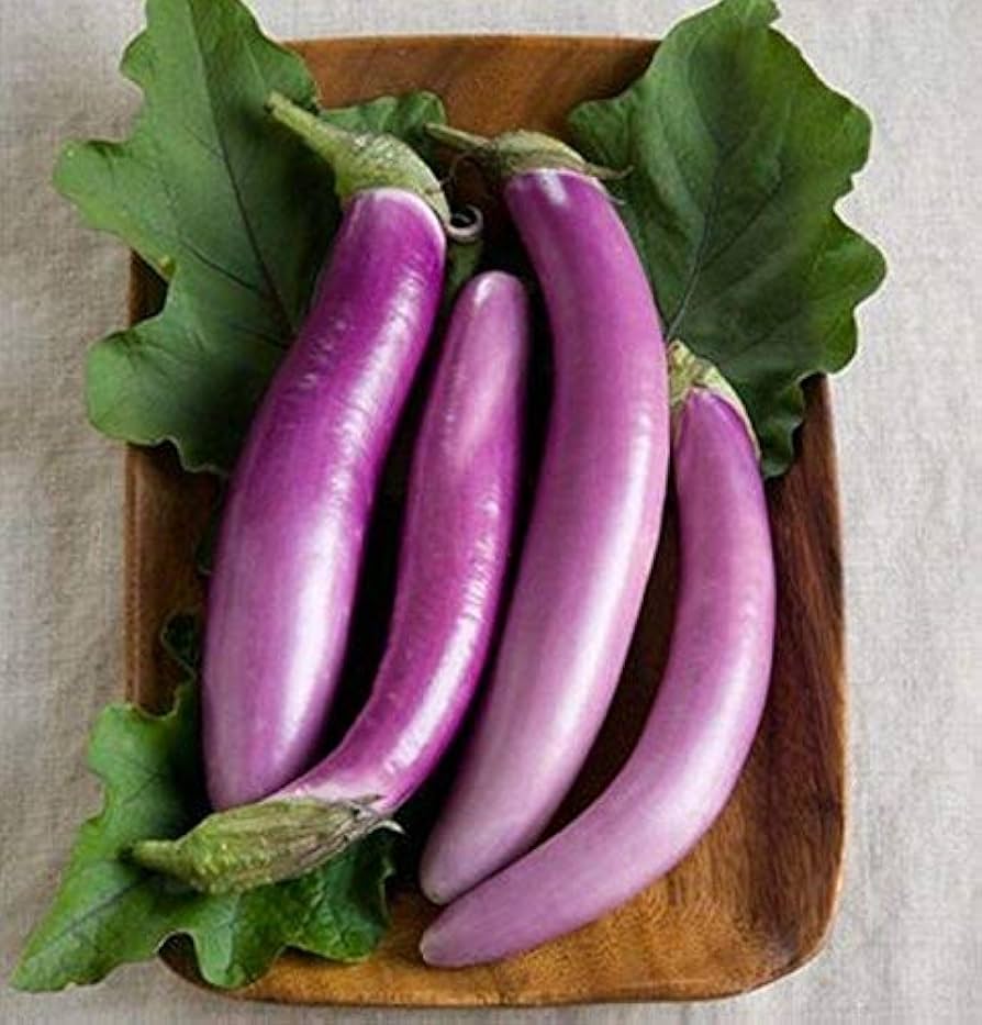 Amazon.com : Orient Charm (F1) Eggplant Seed - ranging from