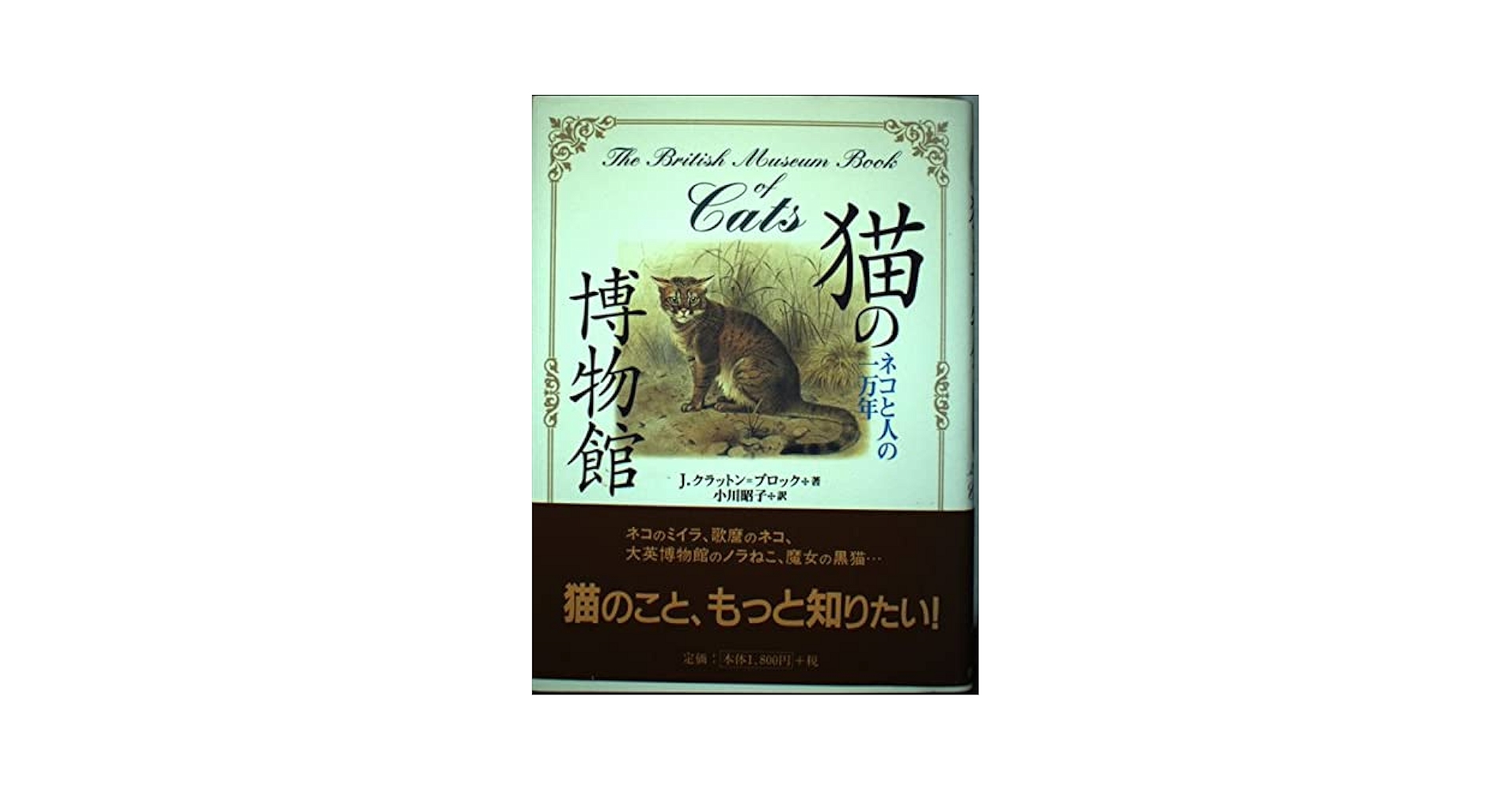 猫の本1928様 藤田嗣治画文集 猫の本