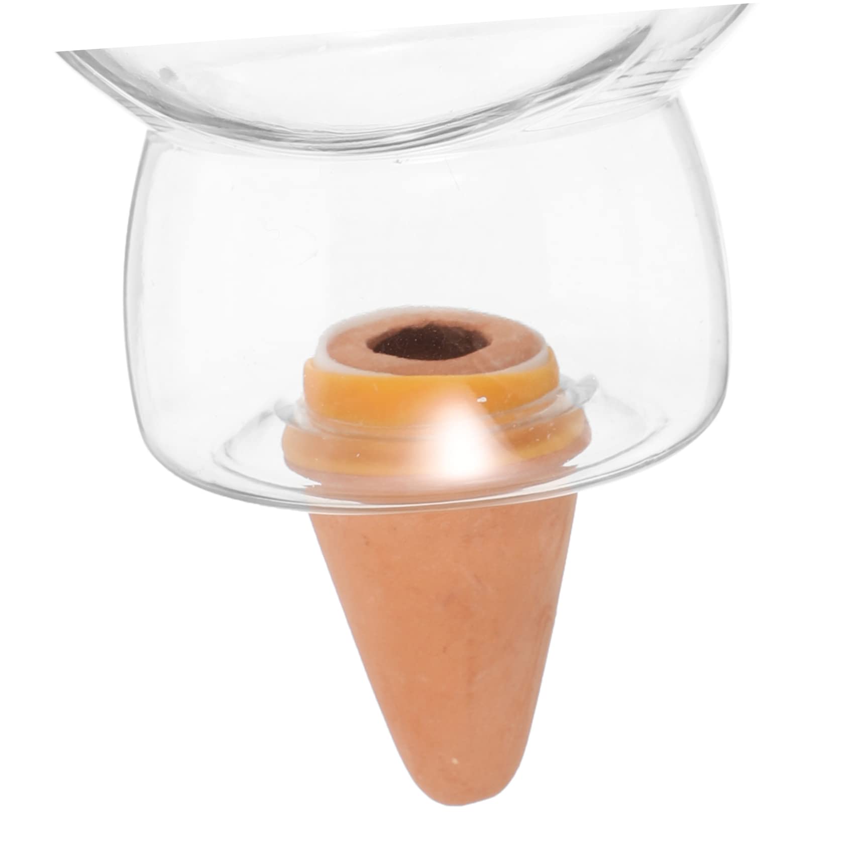 Lot De 2 D'arrosage pour Plantes Globes D'arrosage Automatique pour Pots De Fleurs (3 Pièces X 2)