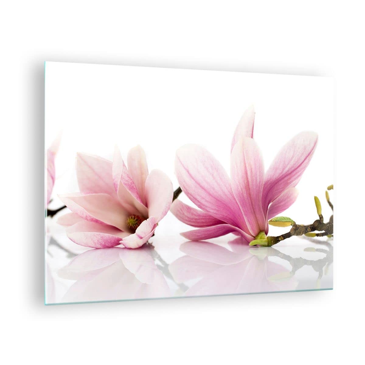 Cuadro sobre Vidrio 70x50cm Moderno Horizontal Botánica Flores - 2641