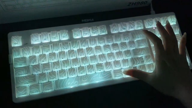 Amazon.com: ZORNHER ZH980 Mechanical Keyboard Wireless,95% White