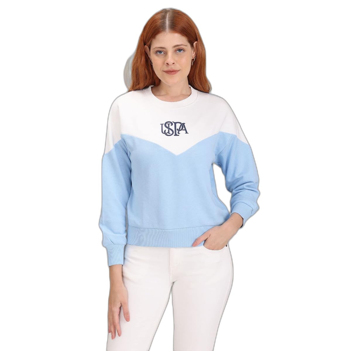 Women Cotton Blend Crew Neck Colour Block Sweatshirt-image-40