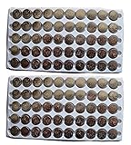 New TIANQIU 100PCS Ag13 Lr44 357 Sr44Sw Alkaline Battery FBA