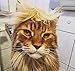 Donald Trump Style Pet Costume Dog Wig, Dog Clothes with Collar & Tie Head Wear Apparel Toy for Halloween, Christmas, Parties, Festivals (Brown Without Tie)