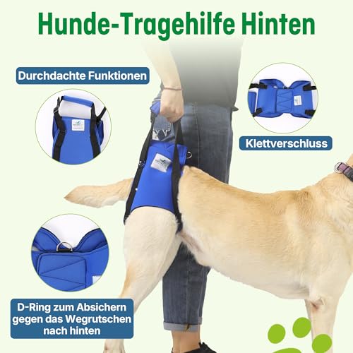 Nature Pet © - Tragehilfe Hund hinten - Verstellbarer Hunde Tragegurt als Treppenhilfe - Ideal für ältere, kranke oder operierte Vierbeiner - Praktische Unterstützung für Mobilität (L, Blau)