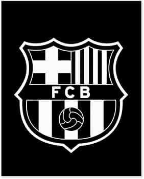 51lUFM2NFJL._AC_UF350,