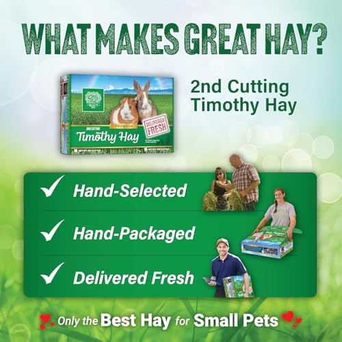 image for Small Pet Select 2nd Cutting Perfect Blend Timothy Hay Pet Food for Ra