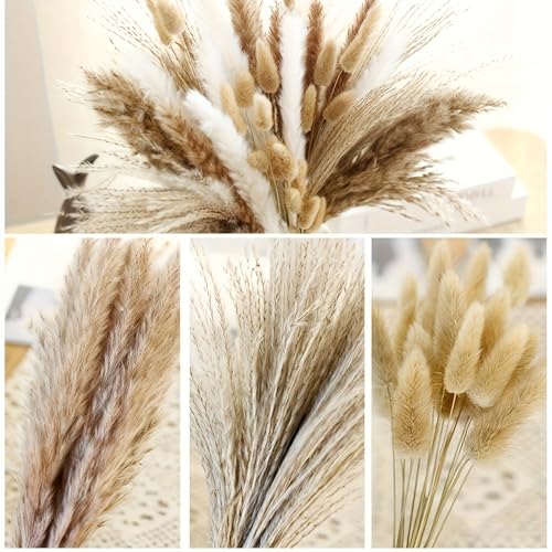 60pcs Flores Secas Preservadas Pampas Grass Decoración miniatura 5