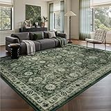 Woodbruy 5x7 Area Rugs, Soft Non Slip Low Pile Washable Rug, Boho Modern Rug for Living Room, Bedroom, Dining Room, Sage Green