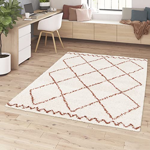 Rugs Essentials Tapis Berbère, Tapis de Salon Shaggy Style Ethnique, Tapis 160x230 cm, Doux et Confortable, Facile d'entretien, 100% Polypropylène épaisseur 30 mm,...
