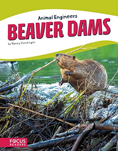 Beaver Dams (Animal Engineers)