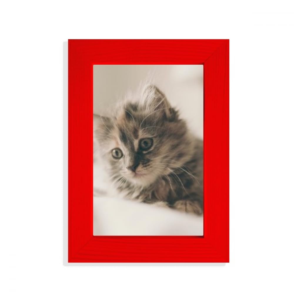 Cadre photo chat gris original et motifs chats rouges design