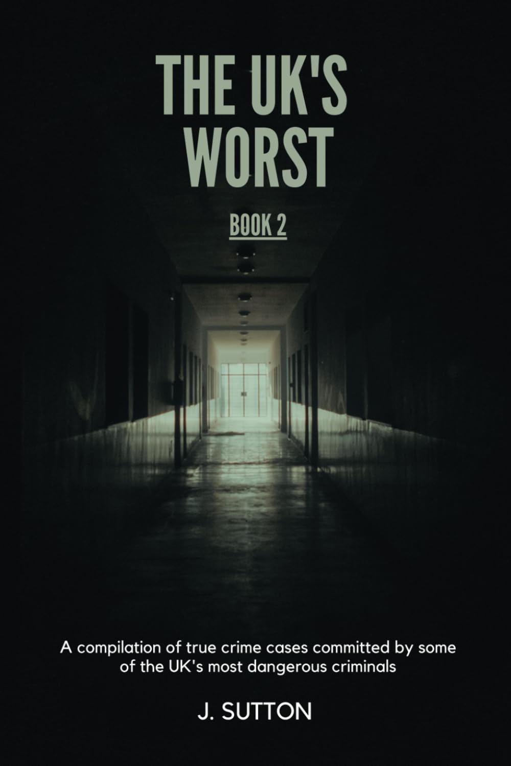 The UK'S Worst: Book 2