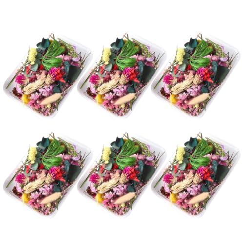 Flores secas naturales para manualidades, 6 cajas surtidas miniatura 1
