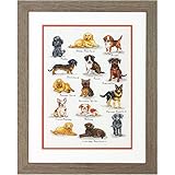 Dimensions 70-35353 Dog Sampler Counted Cross Stitch Kit, Dog Cross Stitch,  10