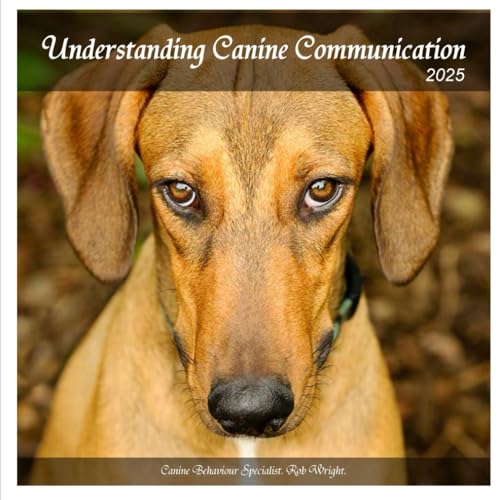 Understanding Canine Communication: 2025 (Proven Guides to a Calmer House and a Happier Dog!) für 12,18 EUR bei amazon.de Bild: Understanding Canine Communication: 2025 (Proven Guides to a Calmer House and a Happier Dog!) für 12,18 EUR bei amazon.de