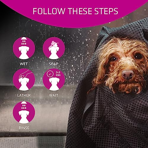 Artero Vitalizante. Shampoo für Hunde, die Volumen benötigen, für empfindliche Haut oder häufiges Waschen. Enthält natürliche Inhaltsstoffe. Ideal für Pudel oder Terrier (250 ml).
