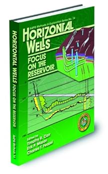 Horizontal Wells: Focus on the Reservoir
