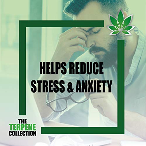 The-Terpene-Collection-E-Liquid-Vape-Juice-5000mg-Assists-Anxiety-Stress-Sleep-Pain-Relief-50ml-Lemonhaze