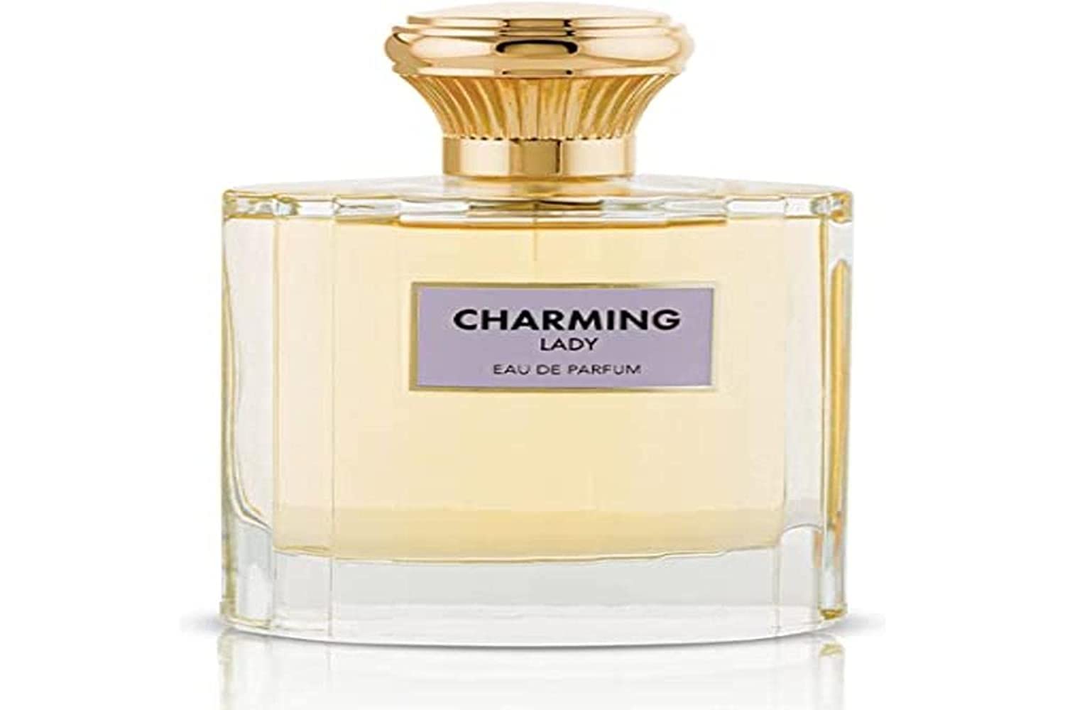 Perfumes for Women Charming Lady Eau De Parfum Perfume For Woman 100ml, Fragrances, For Her