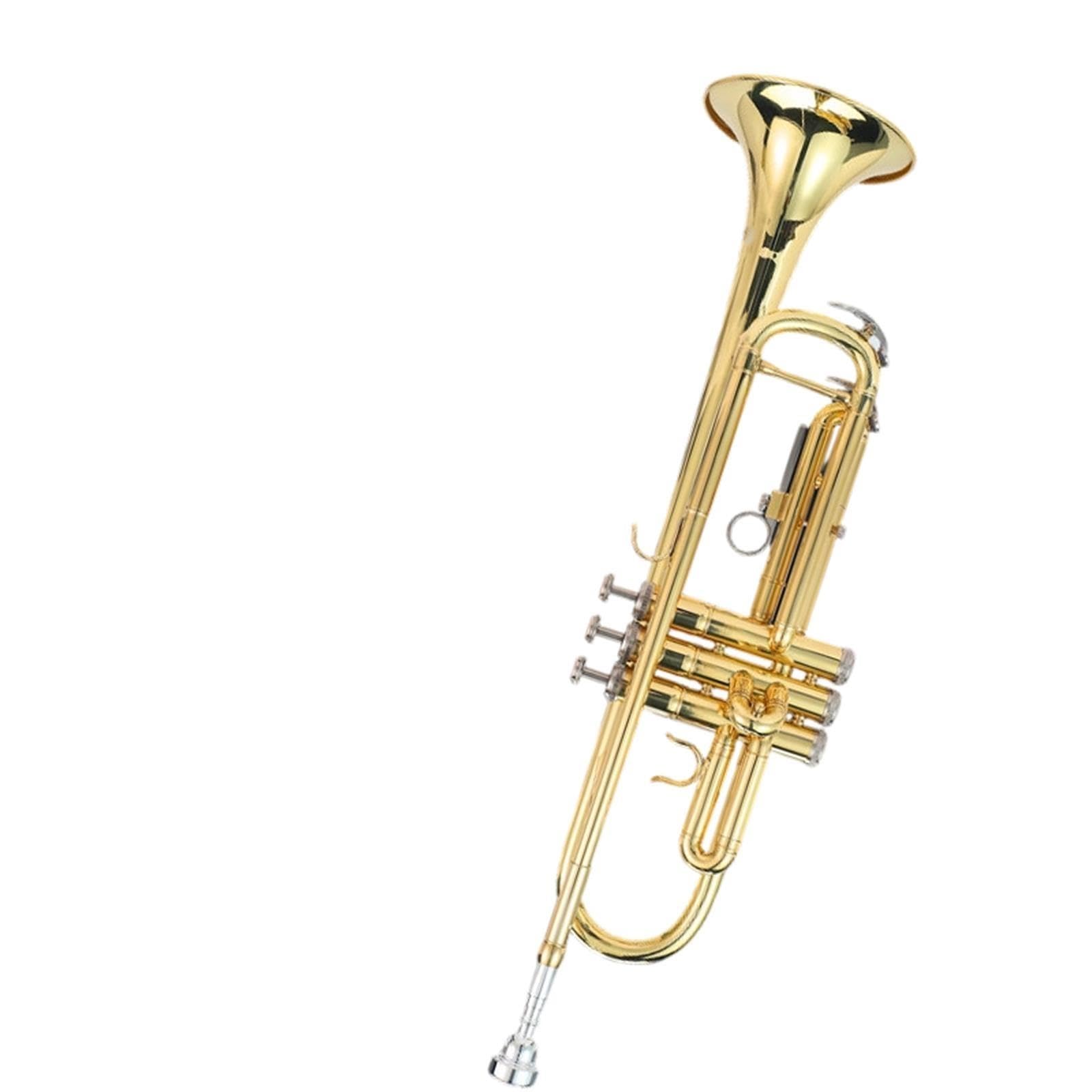 Adult Trumpet Trompette en si bémol débutant