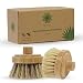 Produktbild Protea 2er Set Ersatzköpfe Spülbürste, Wechselkopf, nachhaltige Geschirrbürste, Topfbürste, Küchenbürste, Schrubbbürste, Abwaschbürste, Scheuerbürste, Naturborsten, wiederverwendbar, Pfannen, Töpfe